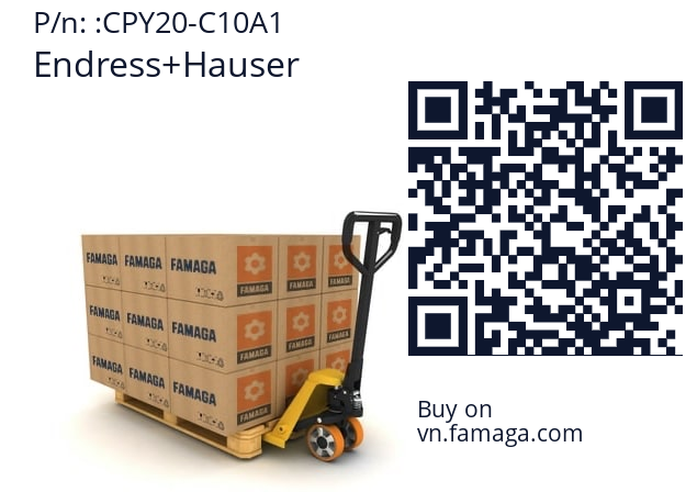   Endress+Hauser CPY20-C10A1